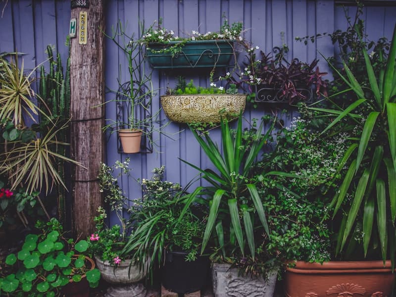 Plant Stands