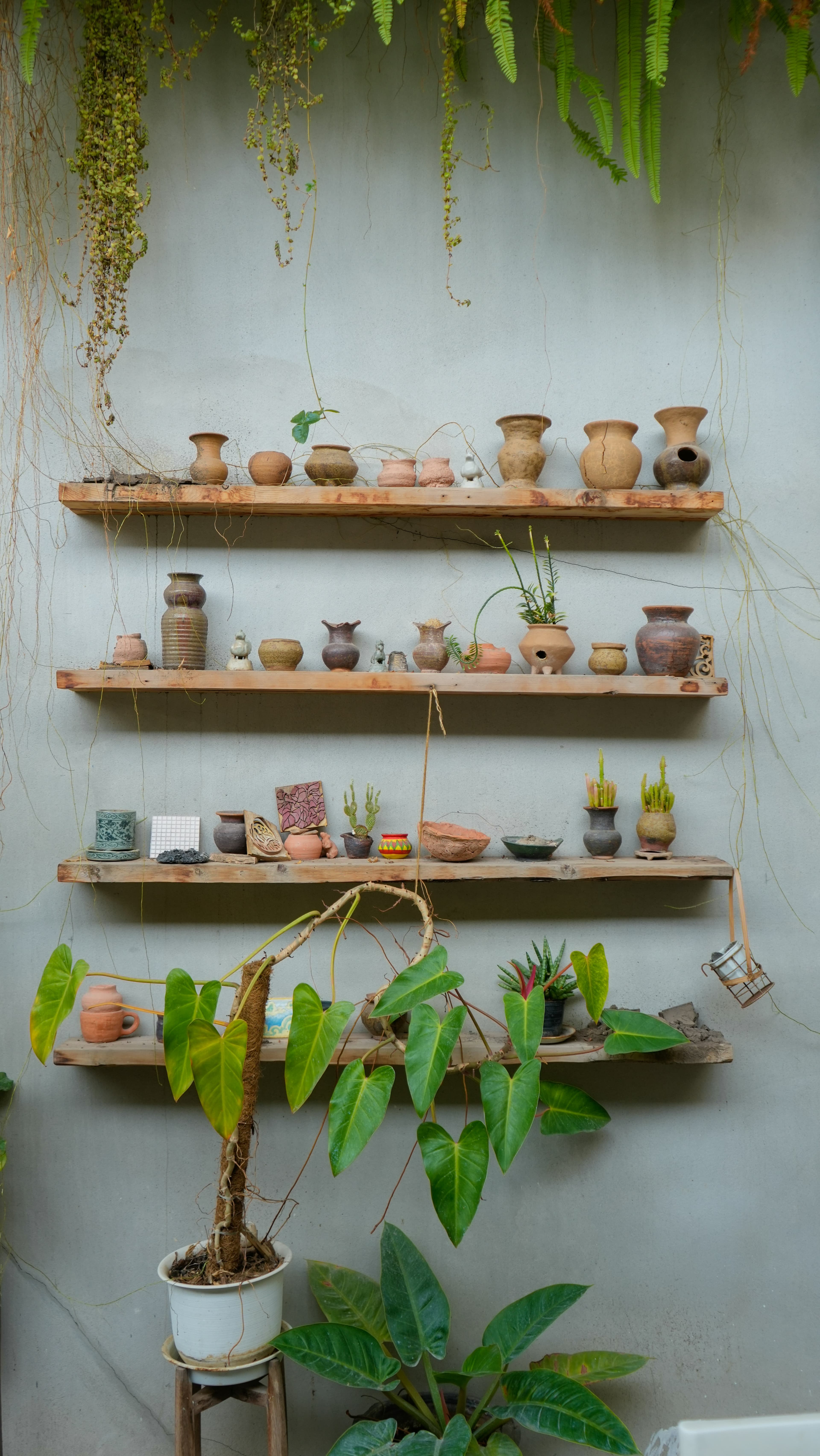 wall-mounted plant shelves in narrow apartment hallway