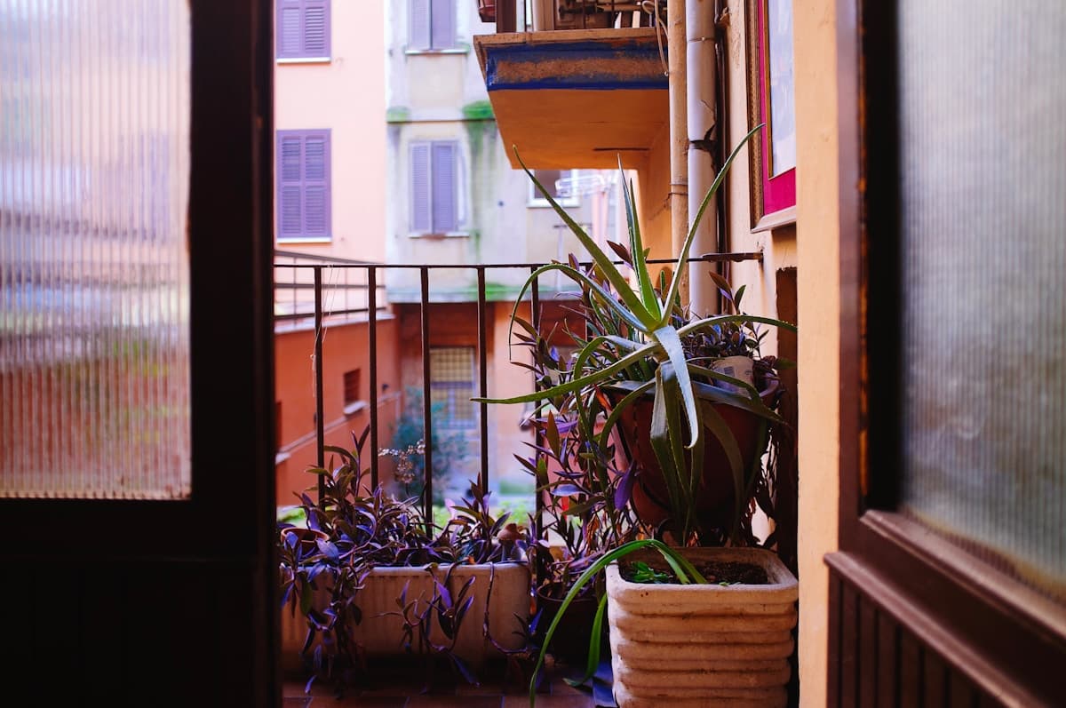How to Choose a Plant Stand That Won't Tip Over