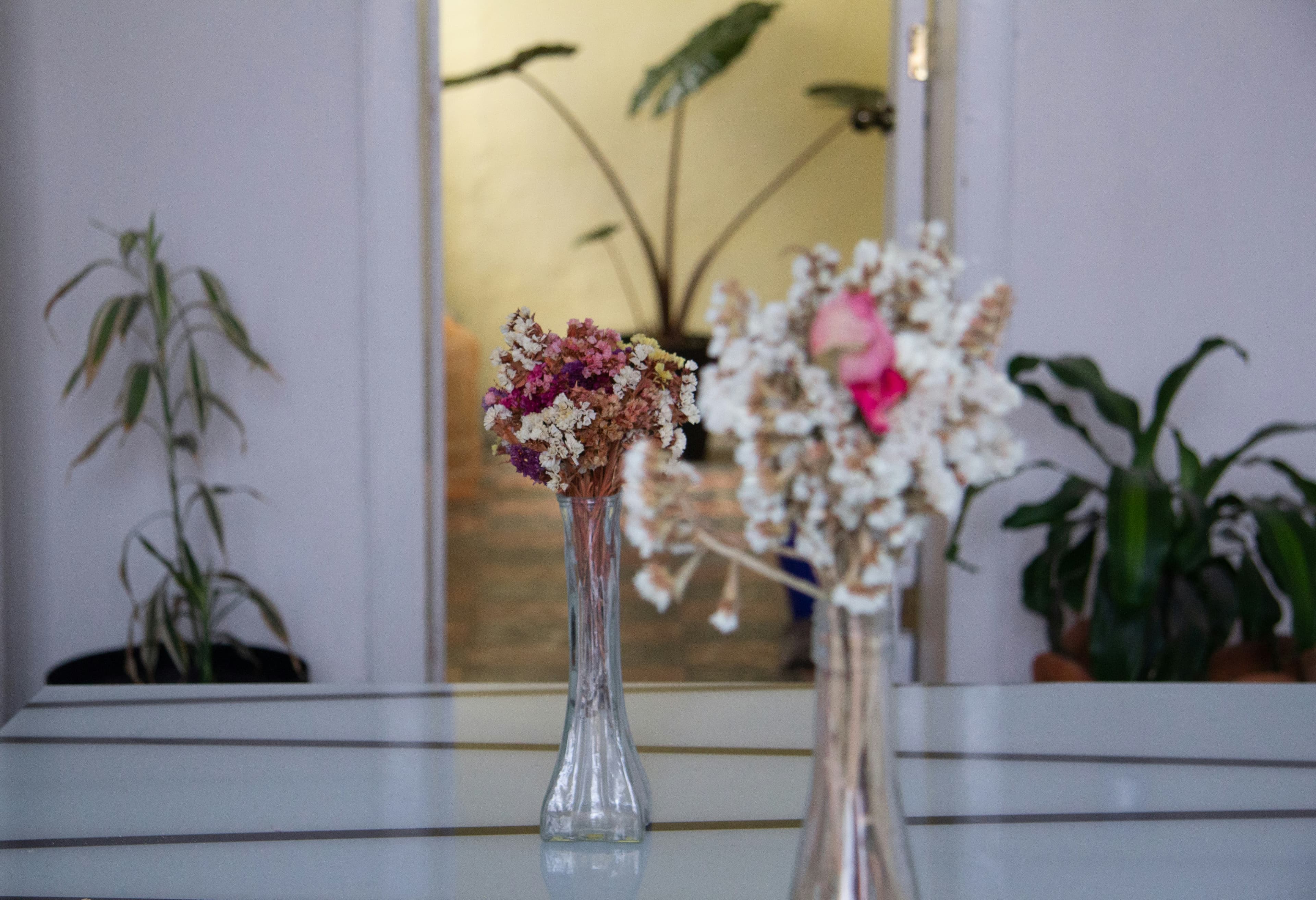 Multi-Tier Plant Stands: Making Vertical Space Actually Work